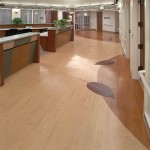 Balboa Naval Medical Center San Diego, CA<br/>Obstetrics Labor Delivery and Recovery